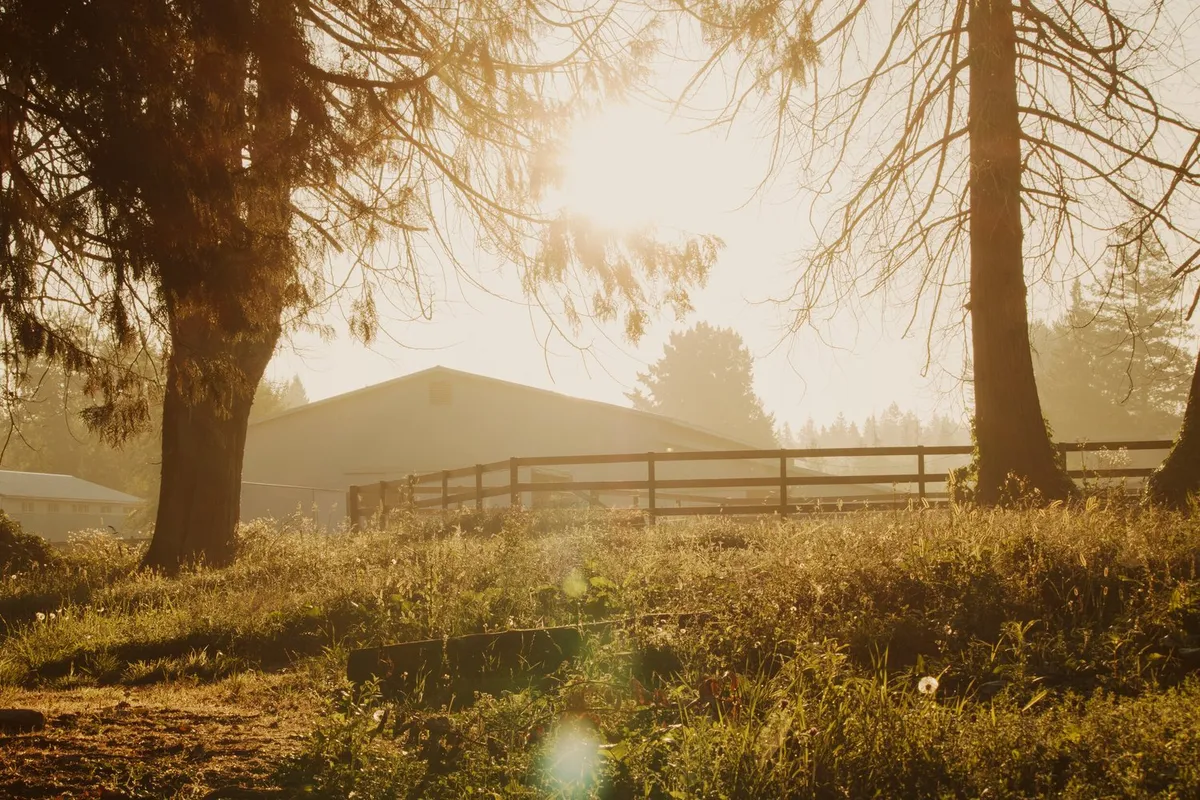 A & T Equestrian Centre — Surrey (1)