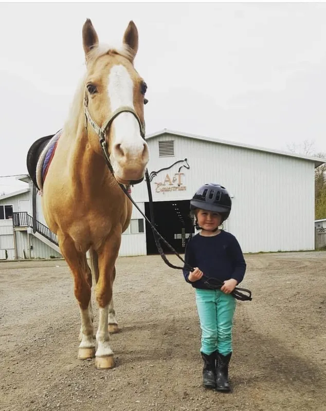 A & T Equestrian Centre — Surrey (4)