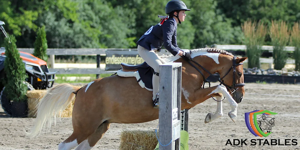 Adk Stables — Yarker (1)