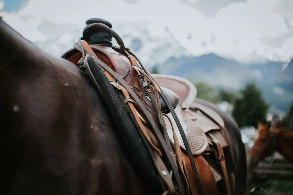 Adventures On Horseback — Pemberton (1)