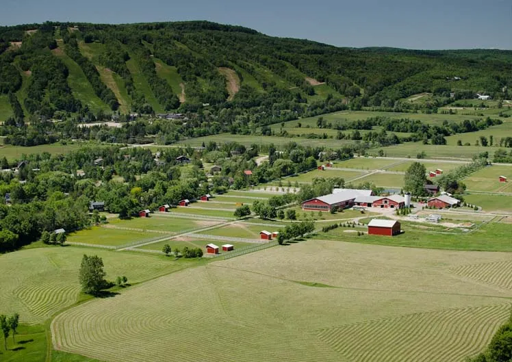 Alpine Equestrian Centre — Collingwood (2)