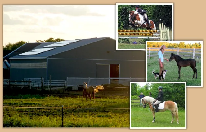 Aragon Equestrian Center — Harrowsmith (1)