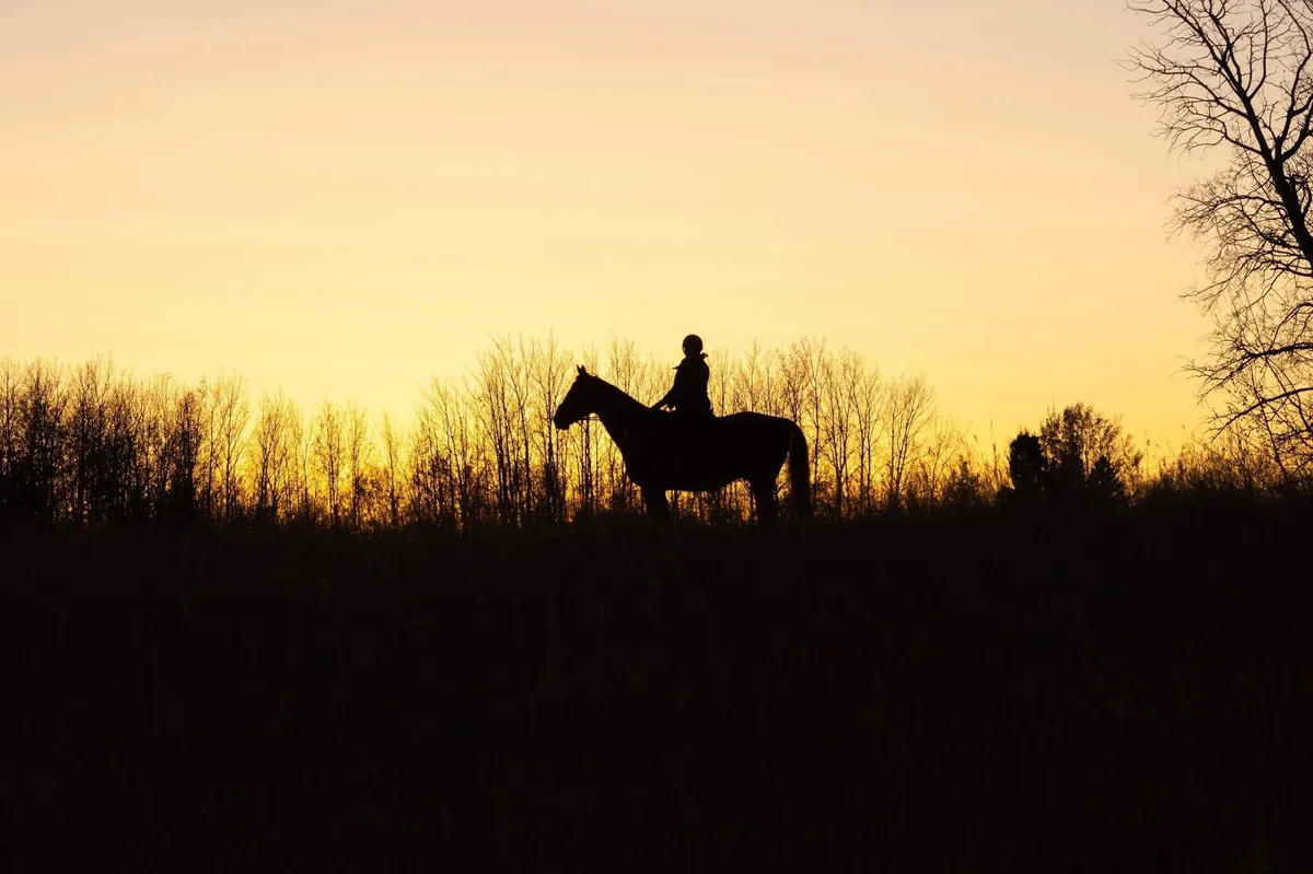 Atlantic Equestrian — Carvel (1)