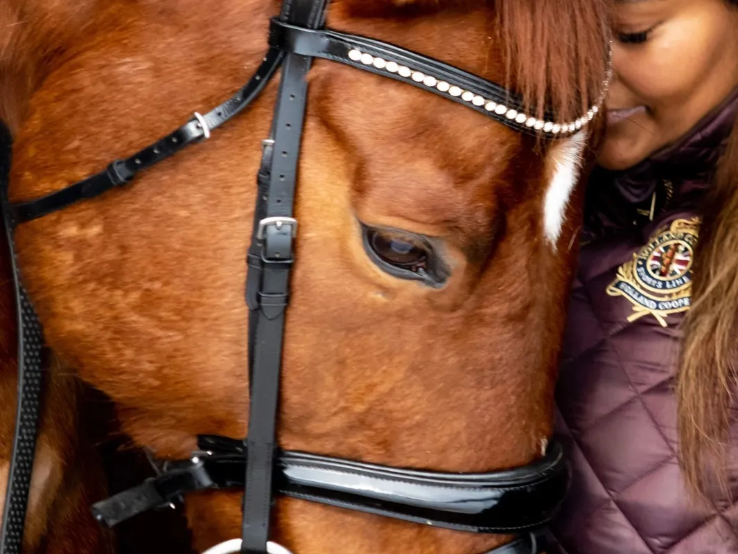 Atlantic Equestrian — Carvel (2)