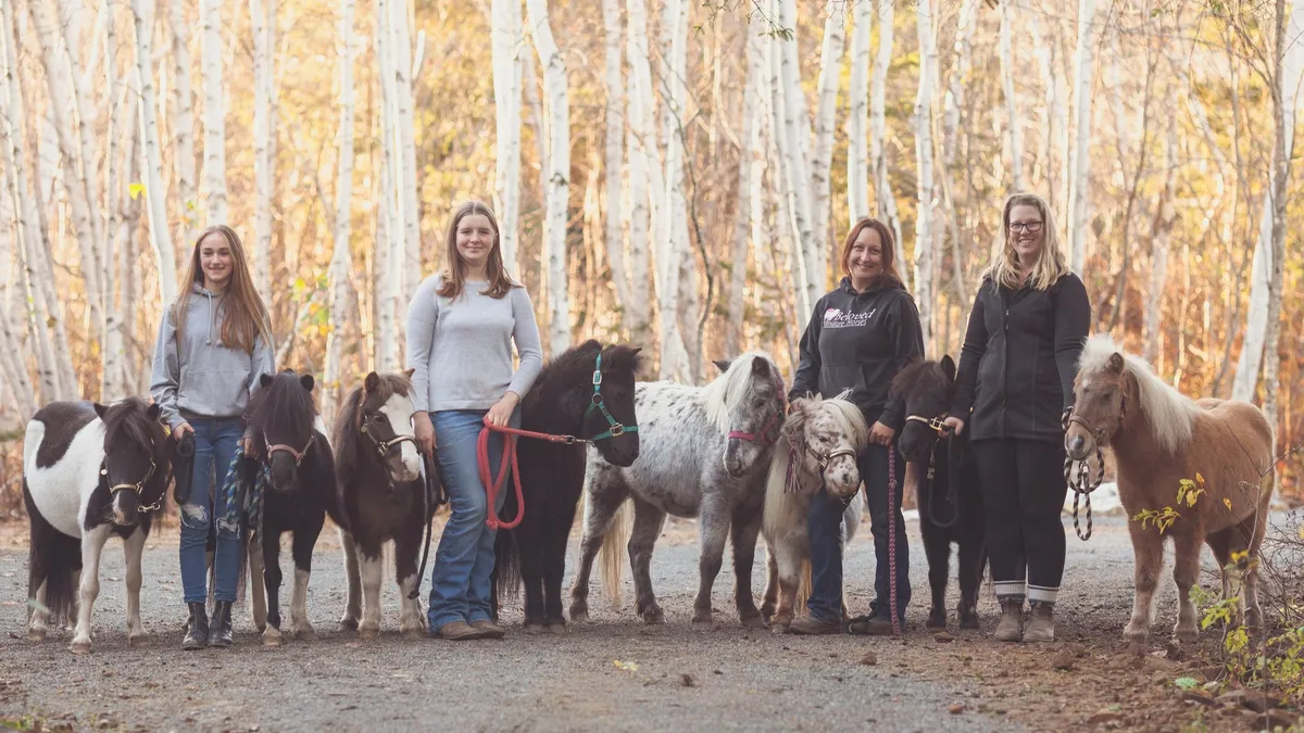 Beloved Miniature Horses — Irishtown (1)
