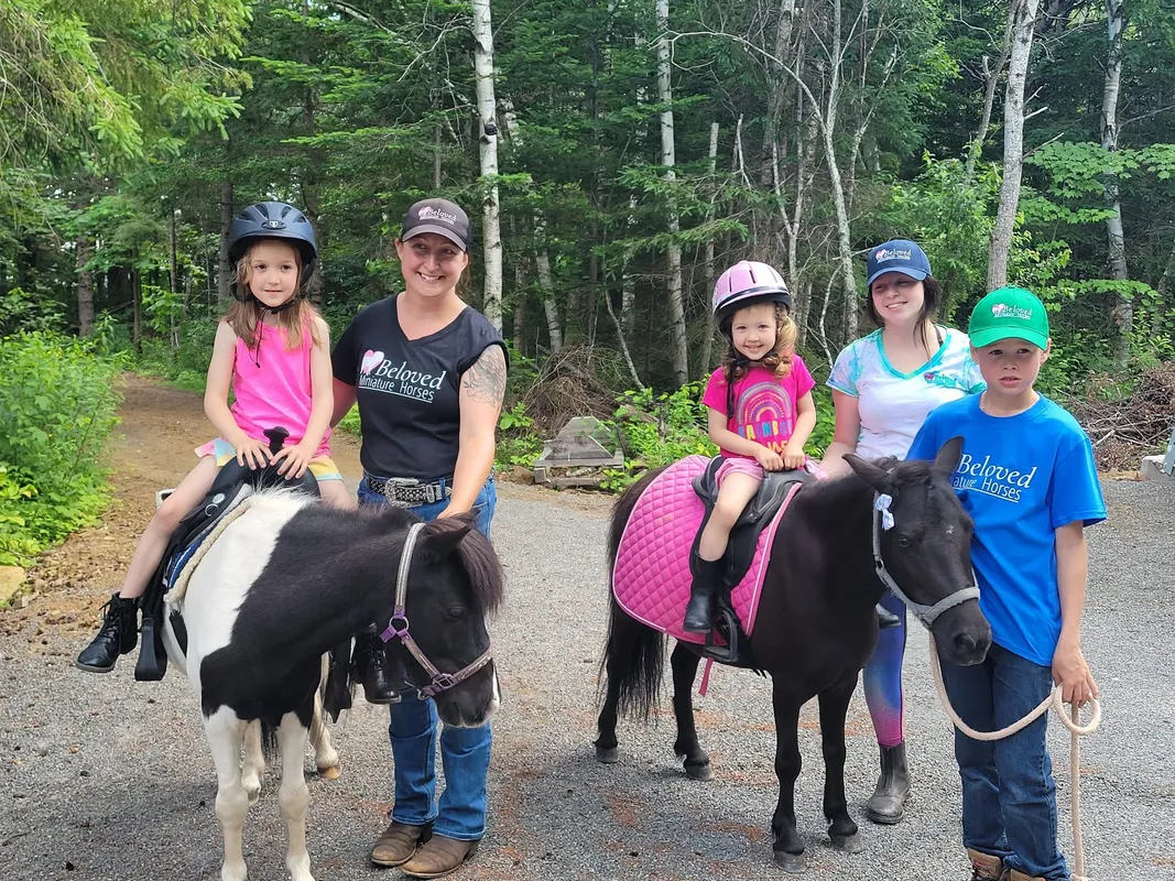 Beloved Miniature Horses — Irishtown (2)