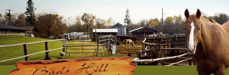 Bird's Hill Park Ranch — Oakbank (1)