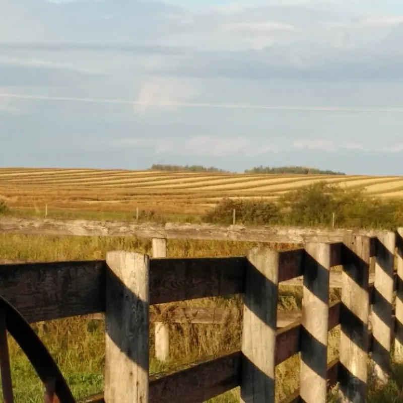 Black Poplar Equestrian Farm — Hague (2)