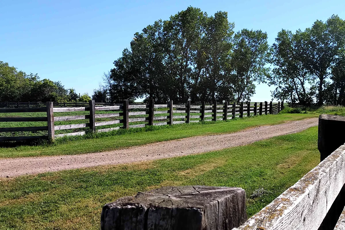 Black Poplar Equestrian Farm — Hague (4)