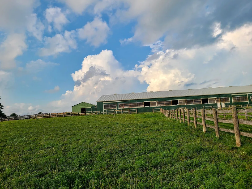 BR Equestrian Services — Milton (1)