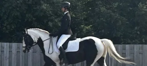 Bridle Path Stable Inc — Goulds (2)