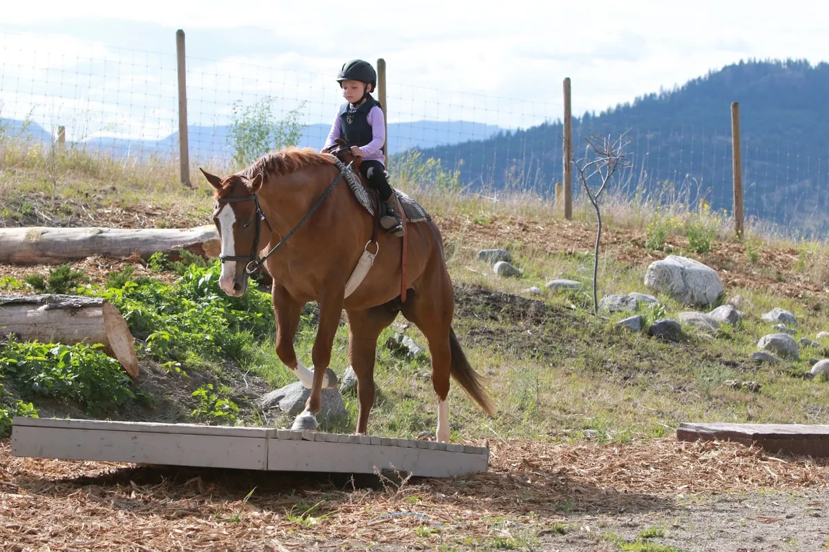 Bridlewood Riding Centre — Lake Country (1)