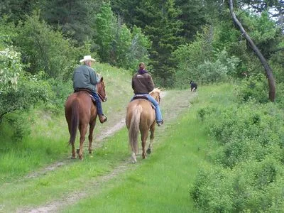 Bridlewood Riding Centre — Lake Country (2)
