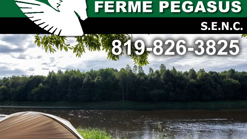 Camping Ferme Pégasus S.E.N.C. — Ulverton