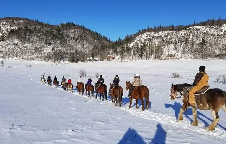 Captiva Ranch Horseback Riding - 1