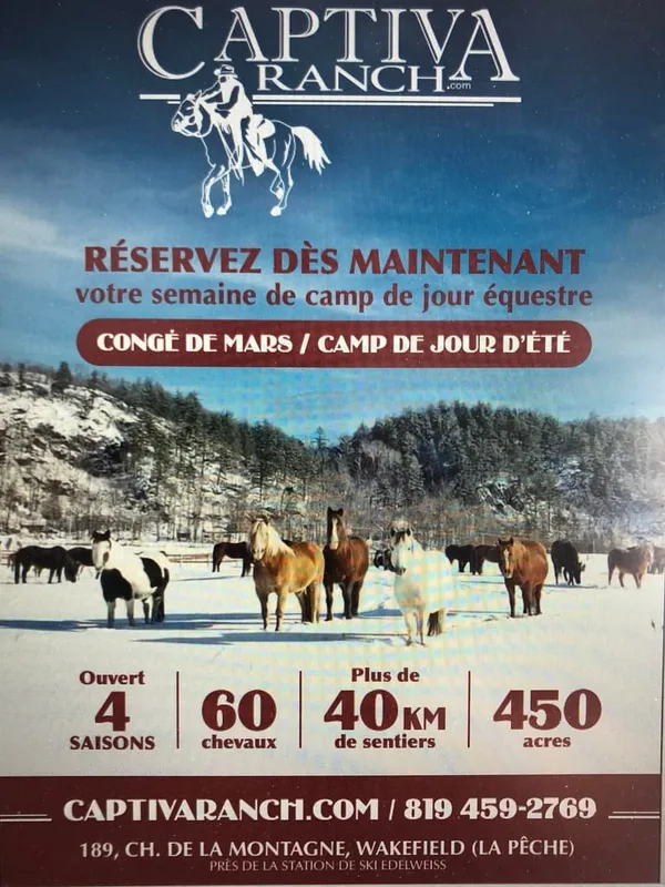 Captiva Ranch Horseback Riding - 3