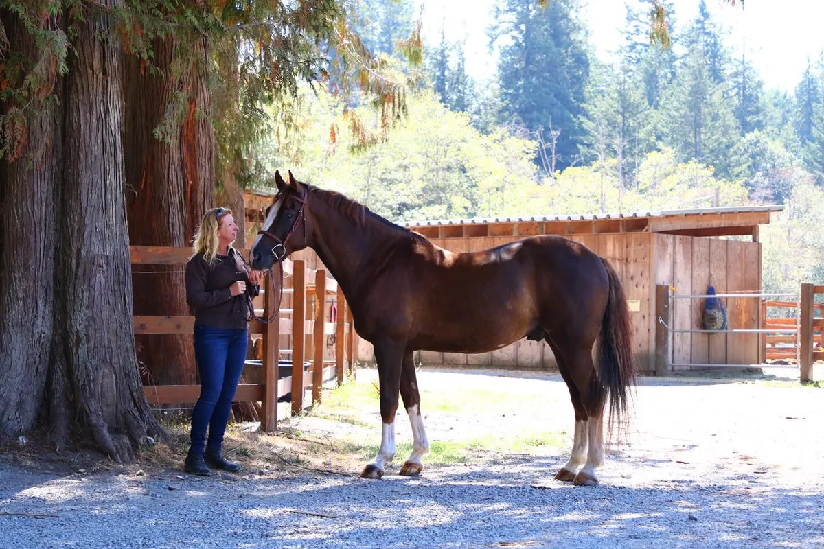 Cedar Vista Stables — 4060 Happy Valley Rd (2)
