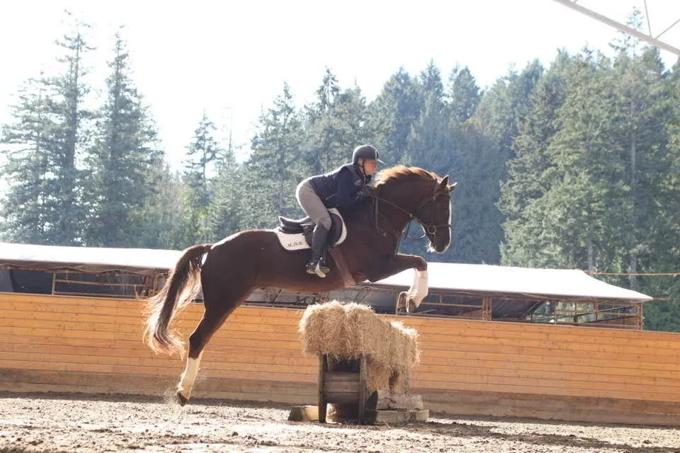 Cedar Vista Stables — 4060 Happy Valley Rd (3)