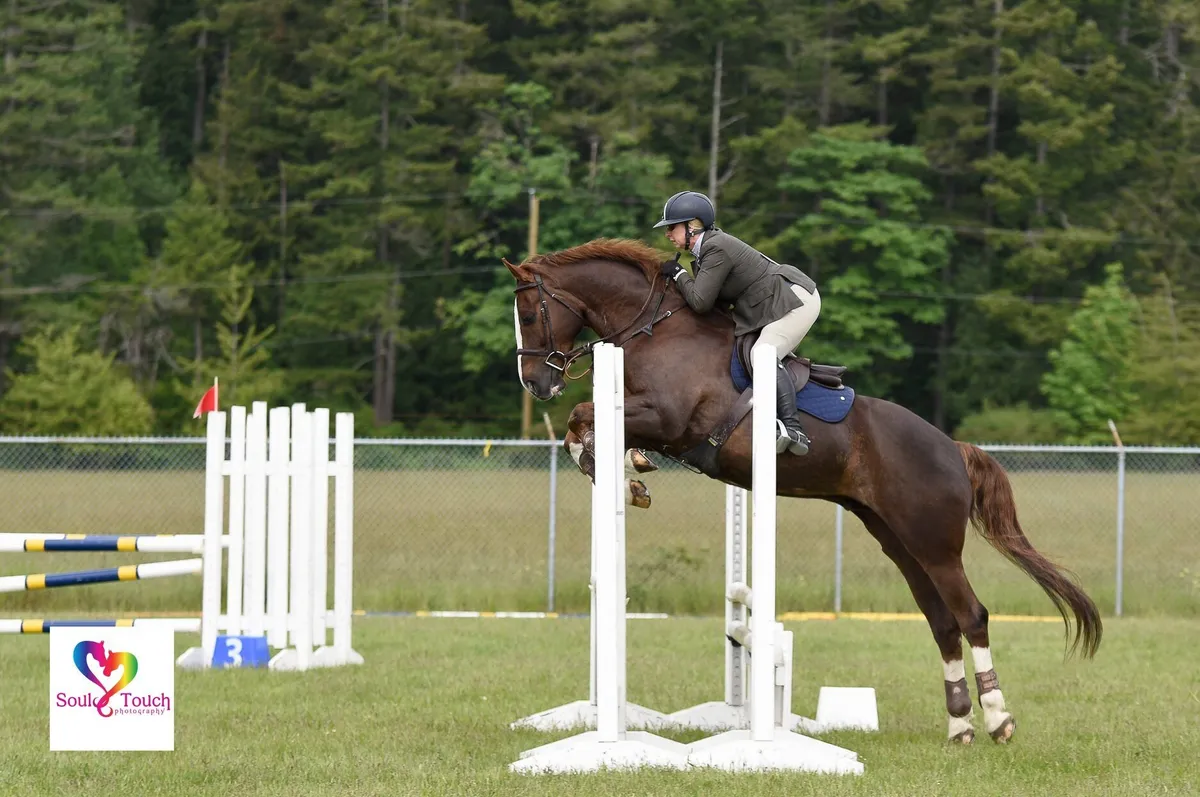 Cedar Vista Stables — 4060 Happy Valley Rd (4)
