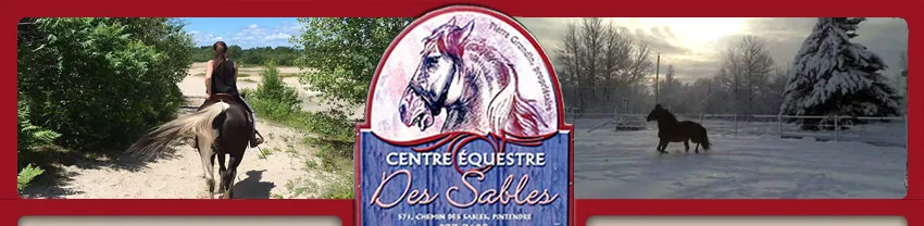 Centre équestre Des Sables — Levis (1)