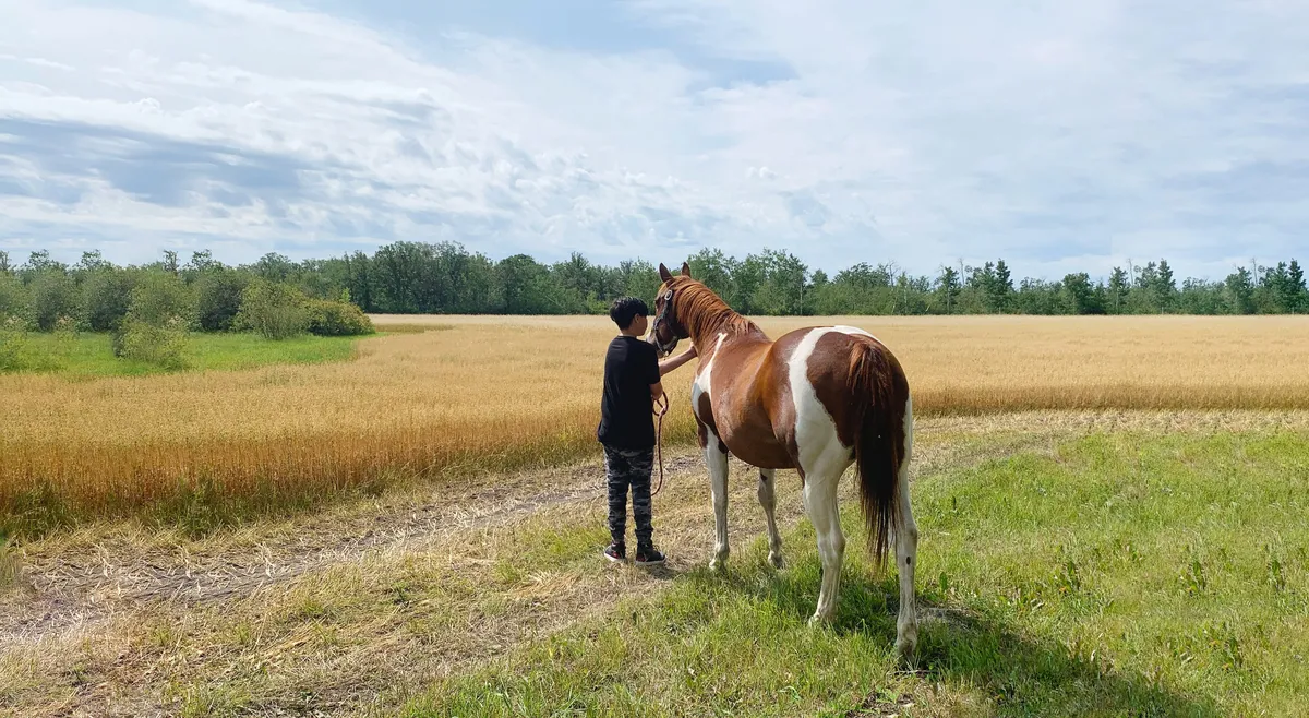 Cloud 9 Ranch — La Broquerie (1)