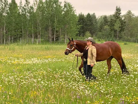 Cloud 9 Ranch — La Broquerie (2)