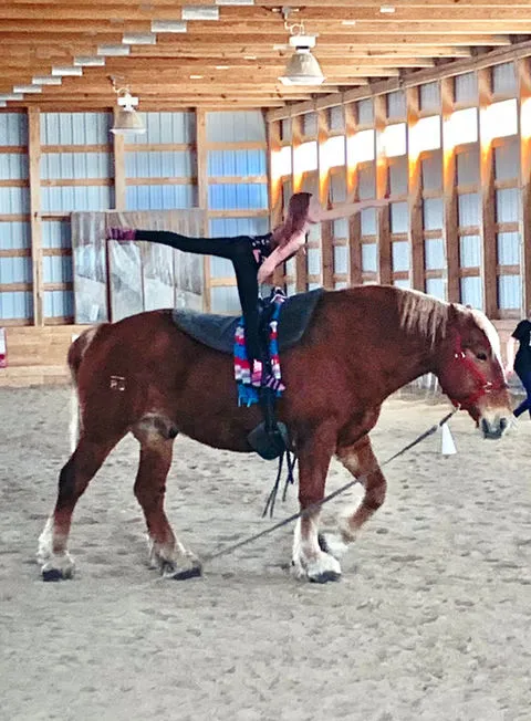 Cloud 9 Ranch — La Broquerie (3)