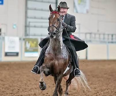 Clover Leaf Stables Equestrian Centre — Sherwood Park (2)