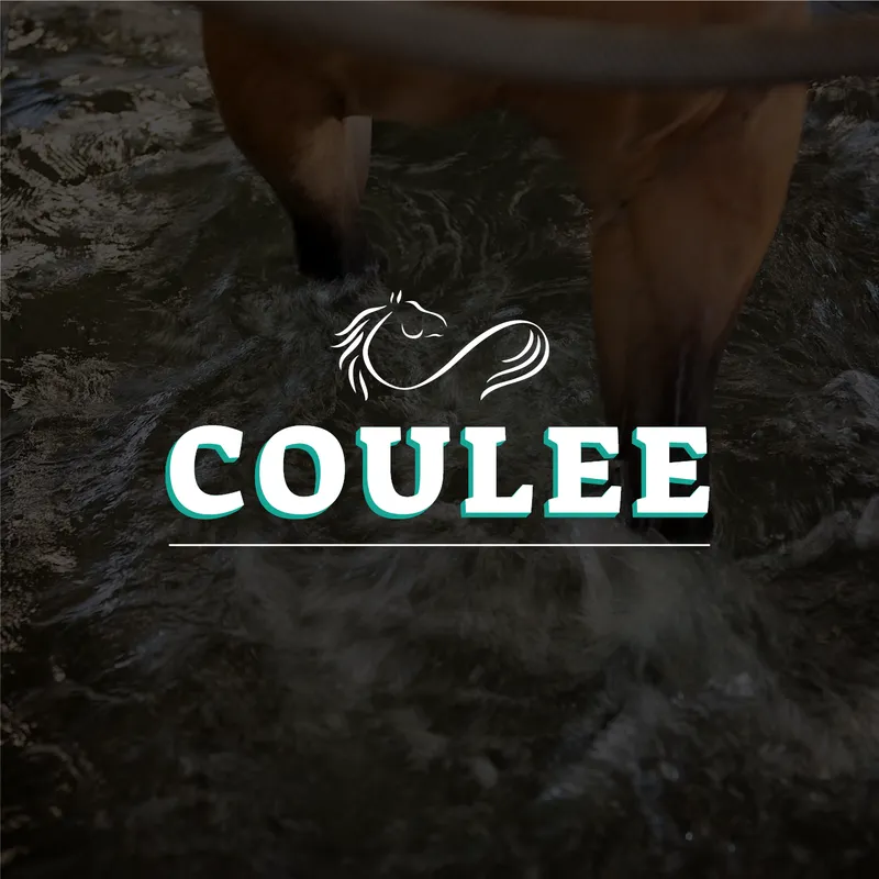 Coulee Equine Conditioning & Rehabilitation — Olds (1)