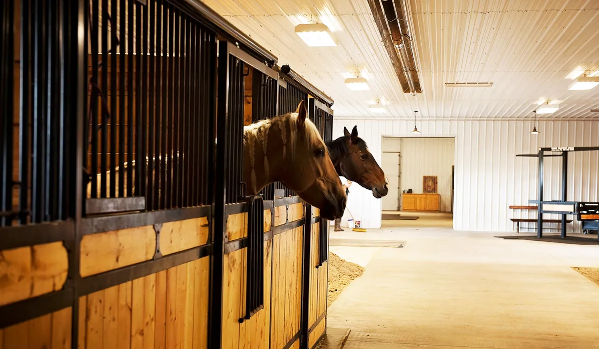 Coulee Equine Conditioning & Rehabilitation — Olds (4)