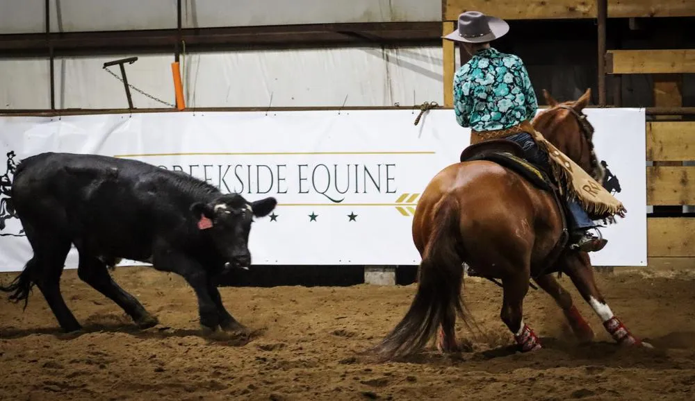 Creekside Equine — Melfort (1)