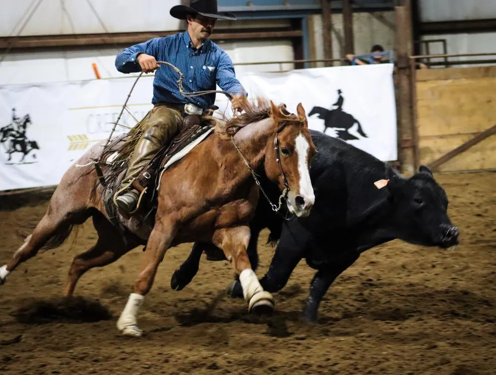 Creekside Equine — Melfort (3)