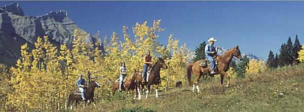 Cross Zee Ranch — Canmore (1)