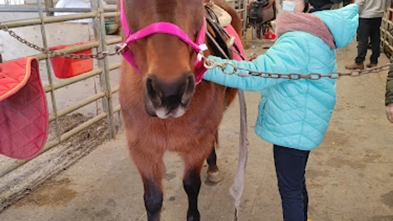 Écurie SunnyBreeze Stable — Carignan, Montérégie