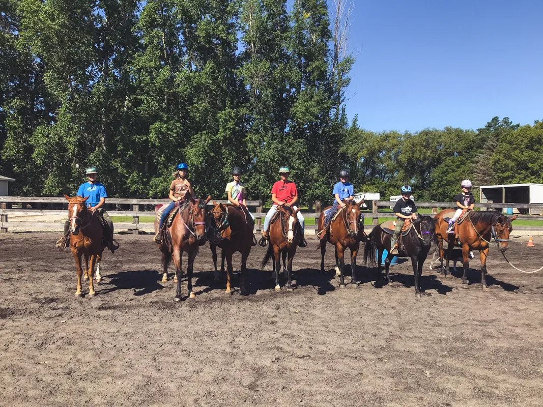Dustyridge Equine Centre — Osterwick (1)