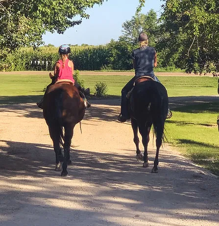 Dustyridge Equine Centre — Osterwick (3)