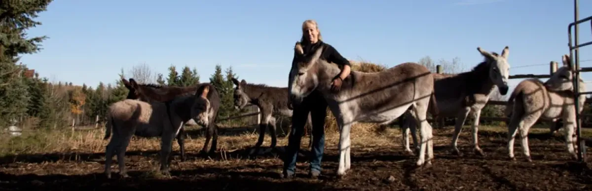 Eagle Hill Equine — Eagle Hill (2)