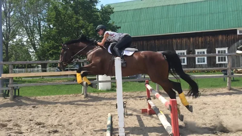 École d'équitation Epona Tannila in Saint-Marc-sur-Richelieu, Quebec