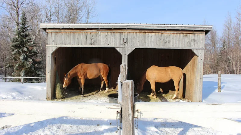Écurie Au Chêne Rouge in Québec City, Quebec