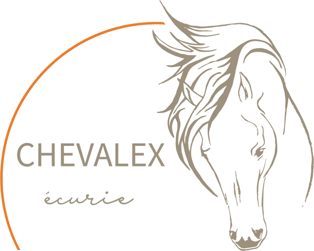 Écurie Chevalex — La Présentation (1)