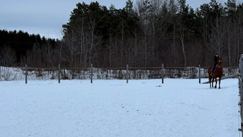 Écuries du Destrier — Pintendre, Montérégie
