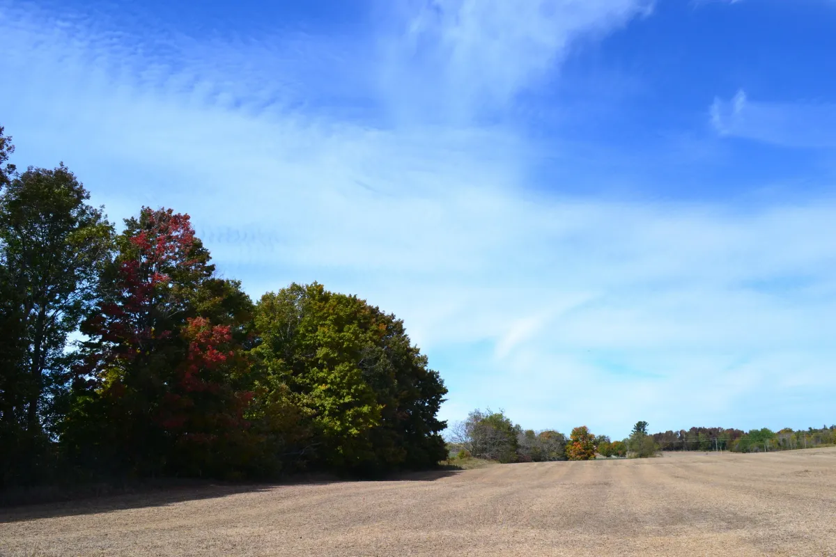 Edenview Equestrian Center — Woodville (4)