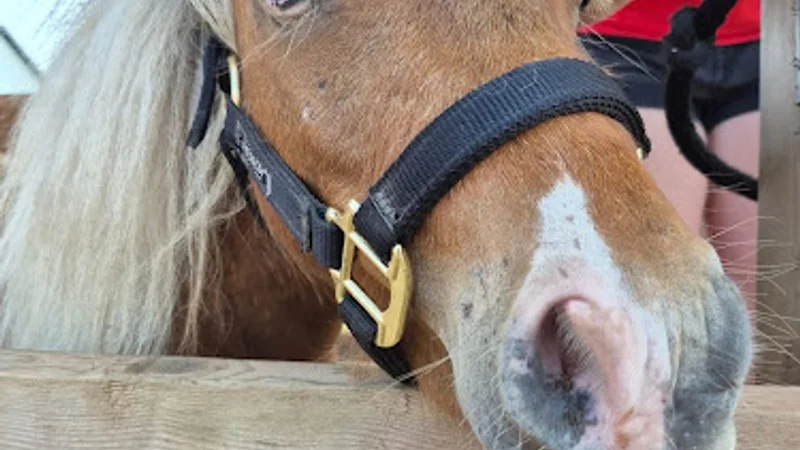 Élevage De Lessard in Sainte-Catherine-de-la-Jacques-Cartier, Quebec