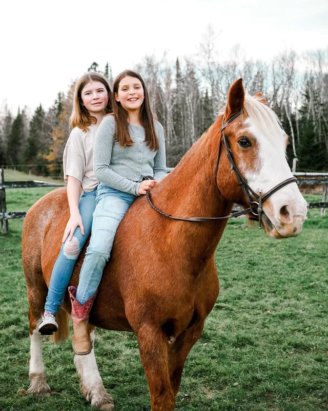 Elite Equestrian — Harvey (2)