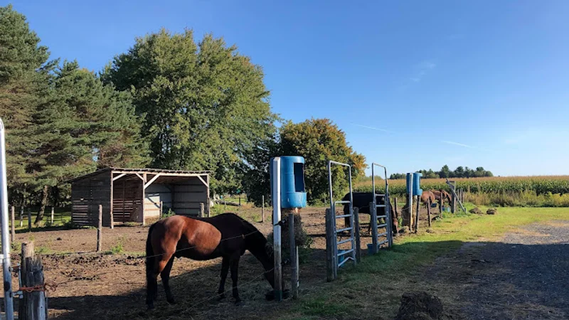 Equestrian Center Bonneau in Saint-Cyrille-de-Wendover, Quebec