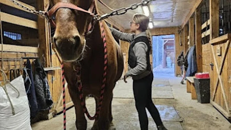 Equestrian Center Cl — Saint-Lin-Laurentides, Lanaudière