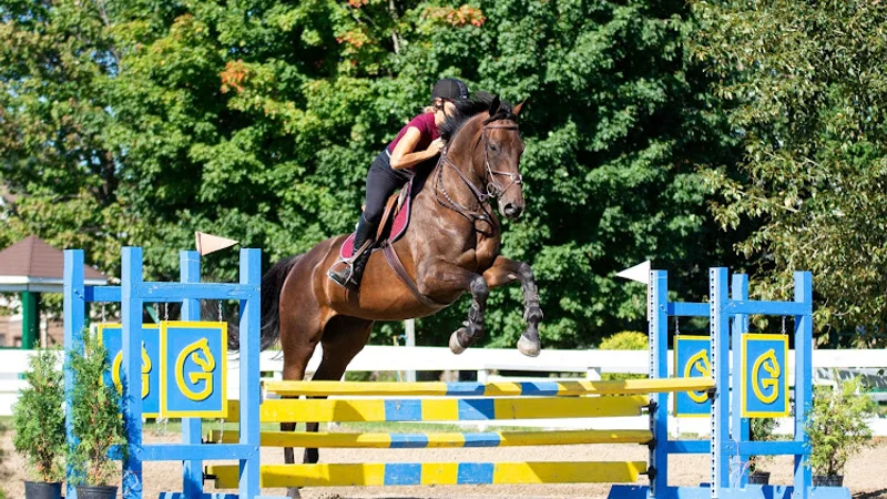Equestrian Center Drummond S.e.n.c. in Saint-Cyrille-de-Wendover, Quebec