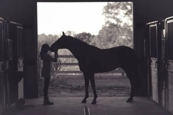 Equestrian Lifestyle — Miramichi (2)
