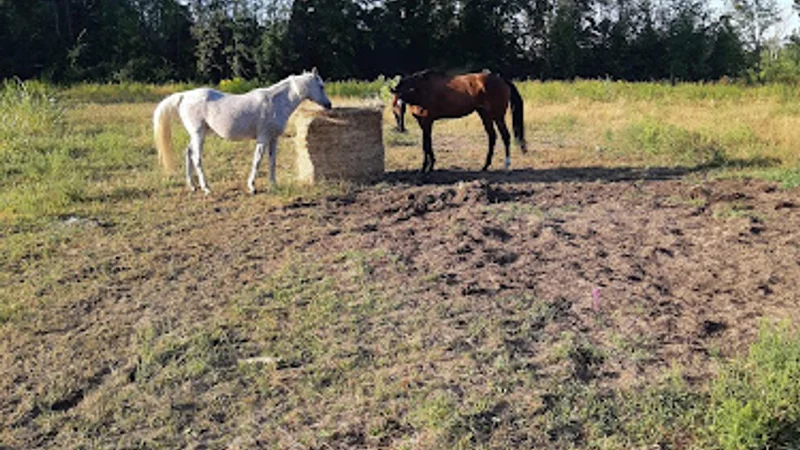 Equestrian Riding Center Bonanza — Laval, Laval