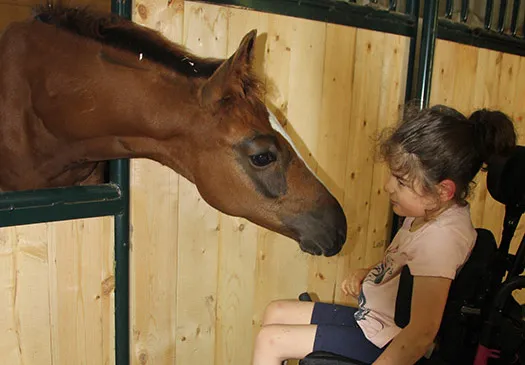 Equilibrium Therapeutic Riding — SK S0K 3A0 (1)